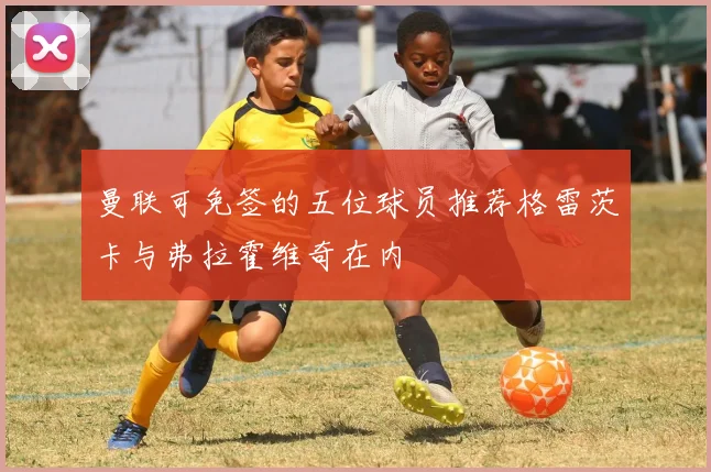 曼联可免签的五位球员推荐格雷茨卡与弗拉霍维奇在内