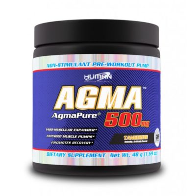 AGMA 500